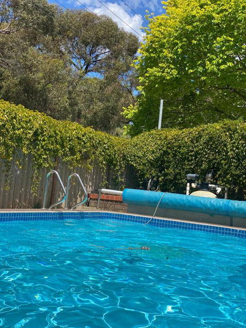 Creek Front House - Accommodation Main Beach 1
