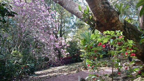 305 Montville - The Artist's Cottage - Accommodation Main Beach 3