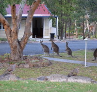31 The Rocks - Accommodation Main Beach