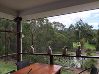 Book Upper Coomera Accommodation Vacations Accommodation Main Beach Accommodation Main Beach