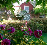 A Country Barn Retreat - Accommodation Main Beach
