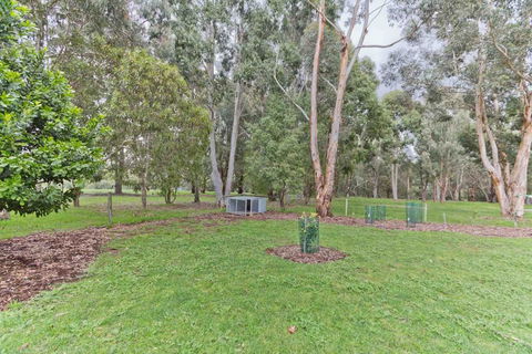 A Grape Escape - Accommodation Main Beach 3