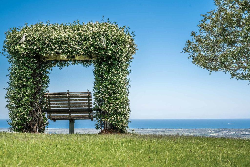 Mcleods Shoot NSW Accommodation Main Beach