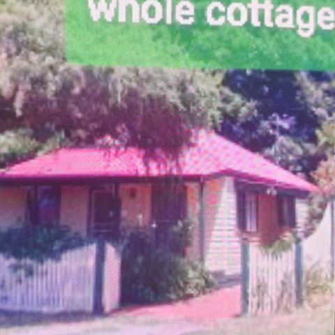 Abelia Cottages Botanical - Accommodation Main Beach 3