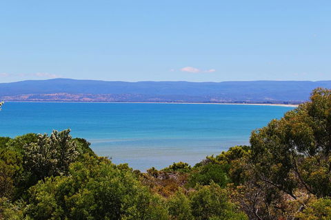 Acacia Cottage - Accommodation Main Beach 1