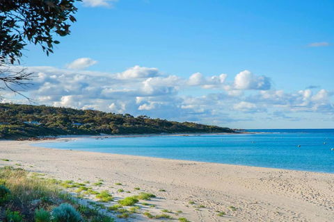 Eagle Bay Summerhaus - Accommodation Main Beach 1