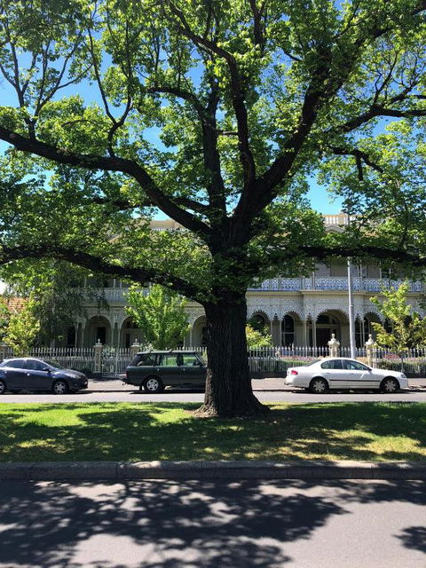 East Melbourne City Studio - Amazing Location & Sunny Charm - Accommodation Main Beach 3