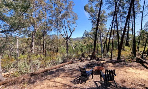 Echidna Ridge By Tiny Away - Accommodation Main Beach 1