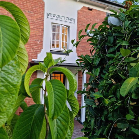 Edward Lodge New Fam - Accommodation Main Beach 2