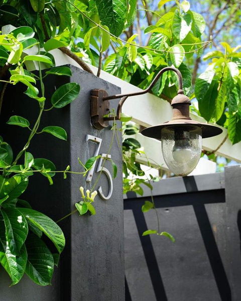 Edward Lodge New Fam - Accommodation Main Beach 3