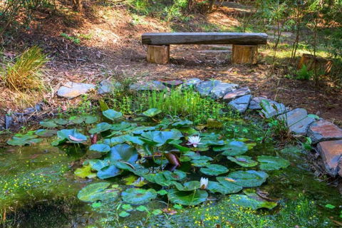 Escape To Tranquil Bliss In Fernview On Falls - Accommodation Main Beach 3