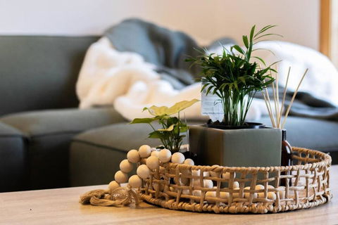 Evergreen On Baillie - Accommodation Main Beach 3