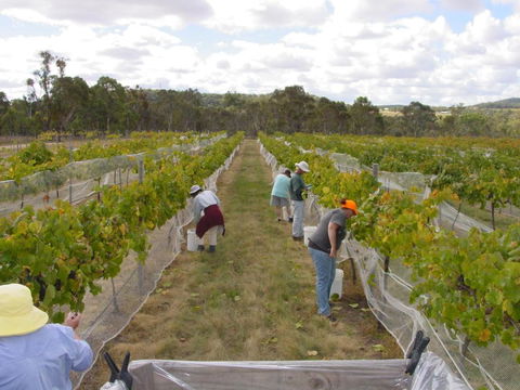 Fergies Hill Spa Cottage @ Granite Ridge Wines - Accommodation Main Beach 2