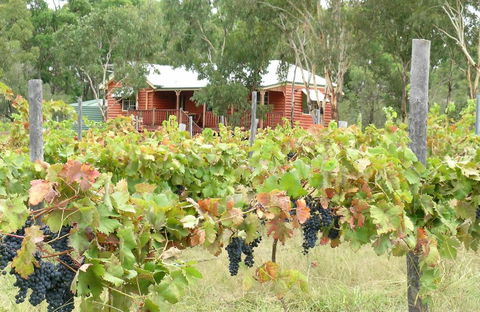 Fergies Hill Spa Cottage @ Granite Ridge Wines - Accommodation Main Beach 0