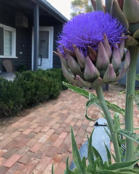 Fergusons Store - Accommodation Main Beach 3