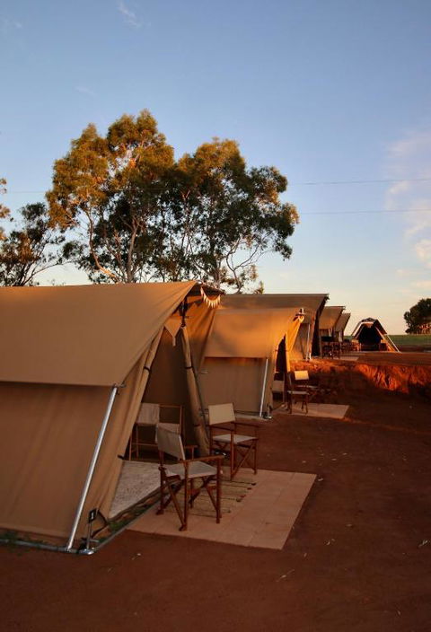 Glamping At Buckland Estate - Accommodation Main Beach 1