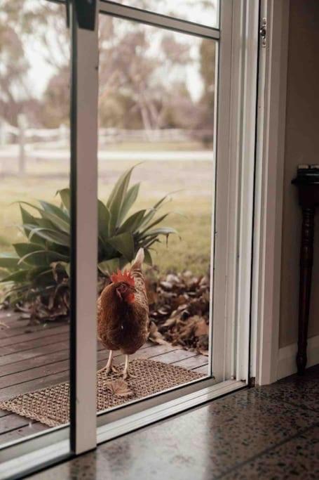 Glenberrie Place ECO Retreat - Accommodation Main Beach 3