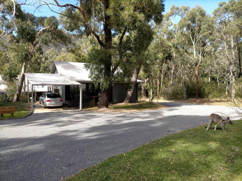 Halls Gap Cottages - Accommodation Main Beach 0