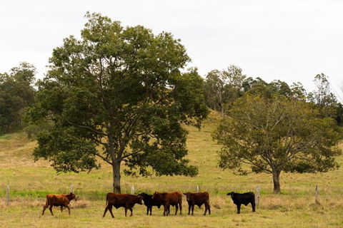 Hampson Farm Stay Hill Top By Tiny Away - Accommodation Main Beach 3