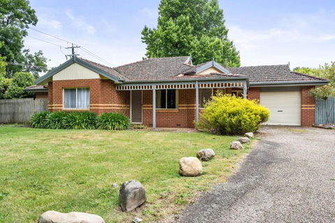 Happy Paws Bright Hideaway - Accommodation Main Beach 1