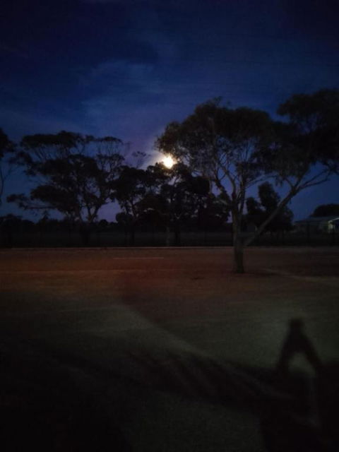 Hawker Holiday Cabins - Accommodation Main Beach 3