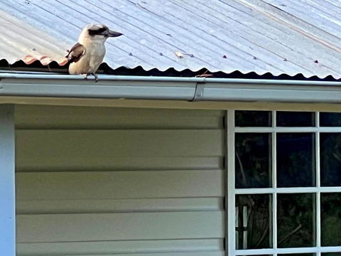 Hawkesbury Riverfront Cottage Homes - Marli - Accommodation Main Beach 0