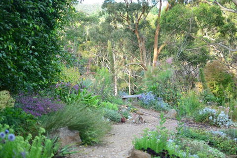 Hepburn Rise - Accommodation Main Beach 3