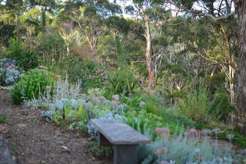 Hepburn Rise - Accommodation Main Beach 2