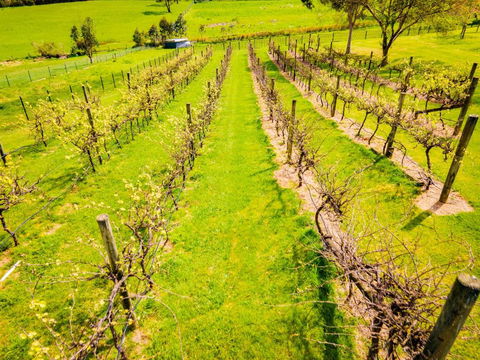 Heritage Holiday House No.15 - Accommodation Main Beach 2