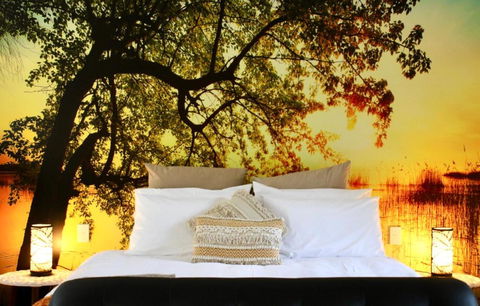 Hideaway Falls - Evergreen Cottage - Accommodation Main Beach 3