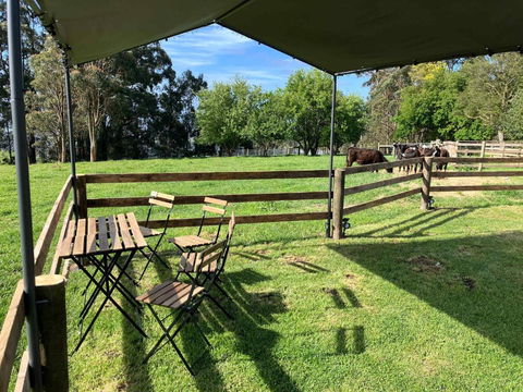 High On A Mountain Top By Tiny Away - Accommodation Main Beach 1