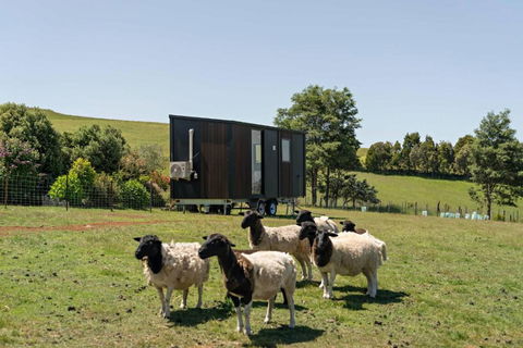 Hillside Hideout By Tiny Away - Accommodation Main Beach 2