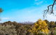Hillside Retreat- Your Tranquil Home Away - thumb 0