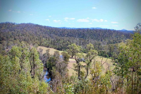 Hilltop House, Truly Unwind - Accommodation Main Beach 1