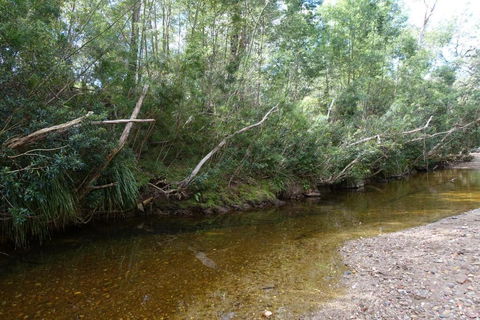 Hilltop House, Truly Unwind - Accommodation Main Beach 3