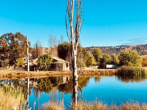 Hillview Cottage - Accommodation Main Beach 1