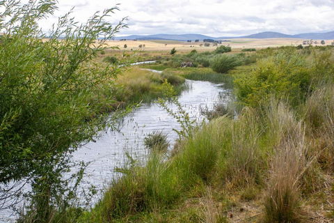 Historic Sandstone Ross Farmhouse - Accommodation Main Beach 1