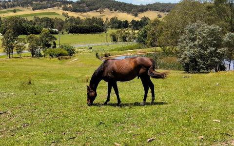 Honeycomb Hill Of Yarra Valley - Accommodation Main Beach 3