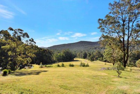 Hunter Valley Kangaroo Retreat With 60 Kangaroos - Accommodation Main Beach 1
