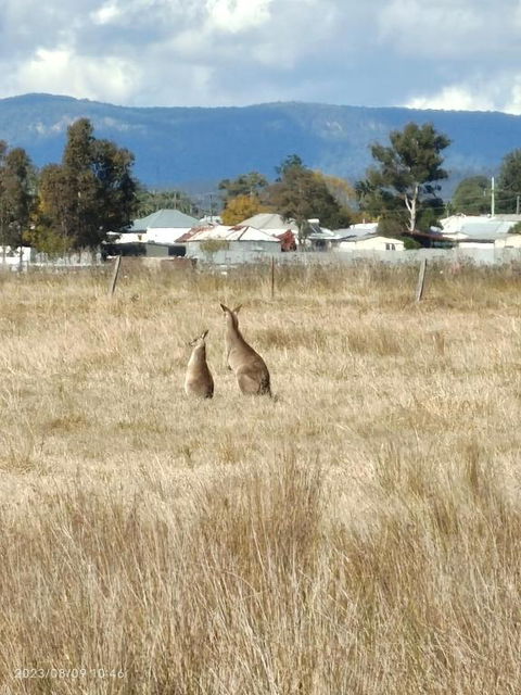 Hunter Valley Nulkaba Breathtaking Views Relax - Accommodation Main Beach 1