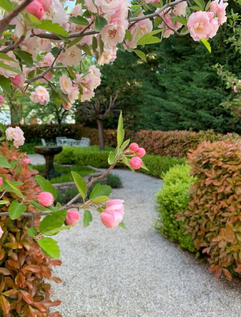 Howlong Old Post Office Luxury Suite - Accommodation Main Beach 2