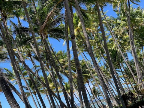 IMPORTANT MESSAGE This Property Is Not Currently Available For Holiday Letting - Accommodation Main Beach 1