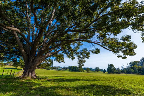 All About Me B & B - Accommodation Main Beach 2