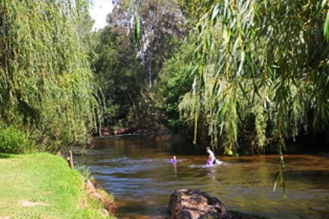 Alpine Park Riverside Cottages - Accommodation Main Beach 3
