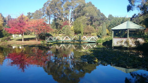 Altona Garden Retreat - Accommodation Main Beach 0