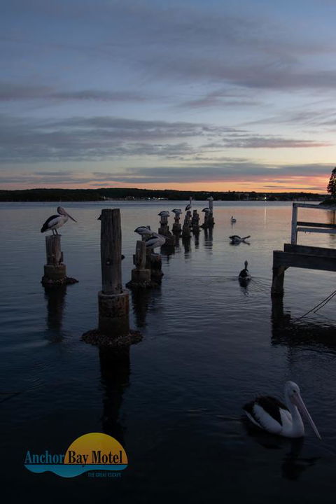 Anchor Bay Motel - Accommodation Main Beach 3