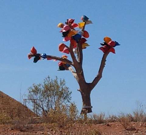 ANTE STREET DUGOUT - Accommodation Main Beach 1