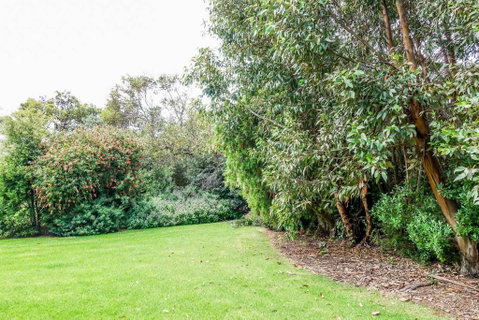APOLLO BAY HOLIDAY HOUSE - Walk To Beach + Wifi - Accommodation Main Beach 2
