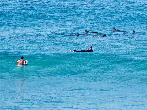 Aquarius Apartment 9 - Accommodation Main Beach 1