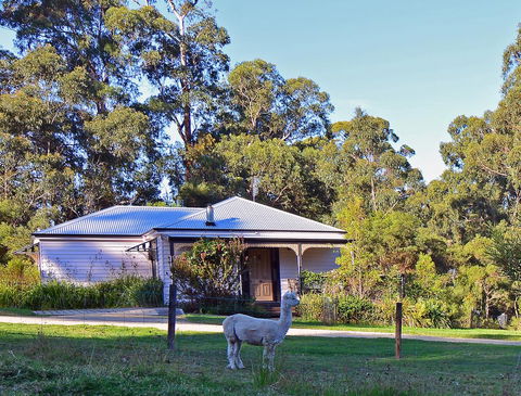 Araluen Park Cottages - Accommodation Main Beach 0